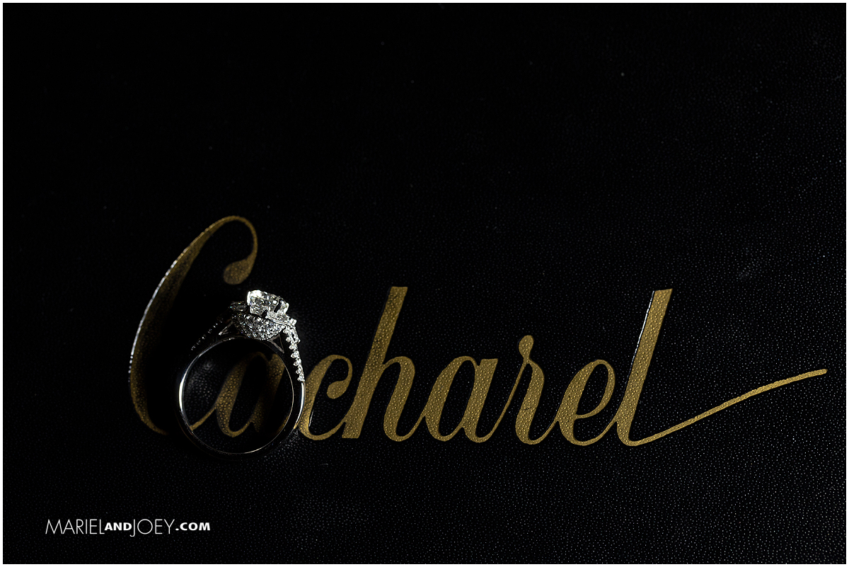 am-victoria-surprise-proposal-arlington-cacharel-mariel-and-joey-lifestyle-photography-cover